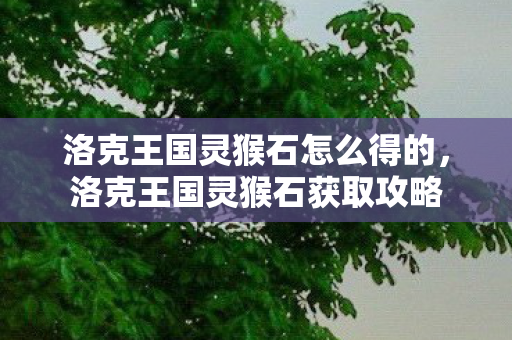 洛克王国灵猴石怎么得的图片