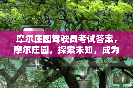 摩尔庄园驾驶员考试答案图片