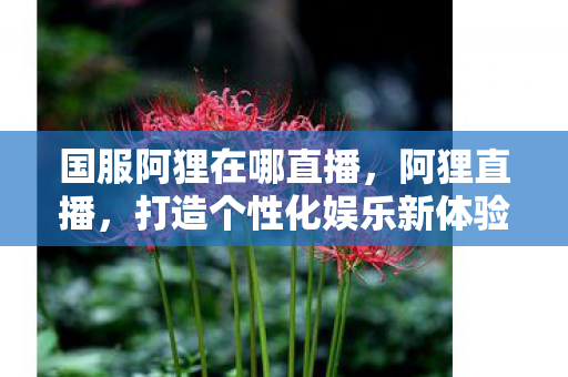 打造个性化娱乐新体验图片