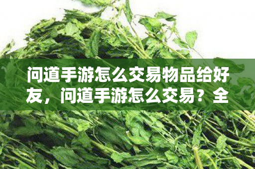 问道手游怎么交易物品给好友图片