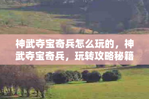 神武夺宝奇兵怎么玩的，神武夺宝奇兵，玩转攻略秘籍