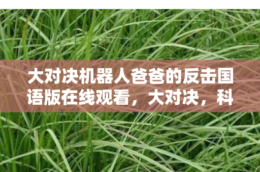 大对决机器人爸爸的反击国语版在线观看图片