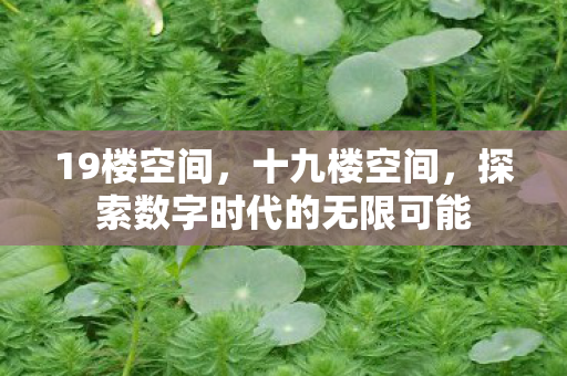 探索数字时代的无限可能图片