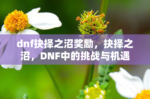 DNF中的挑战与机遇图片
