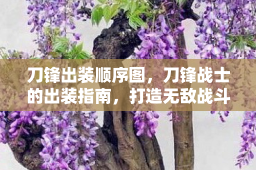 打造无敌战斗力的秘密图片