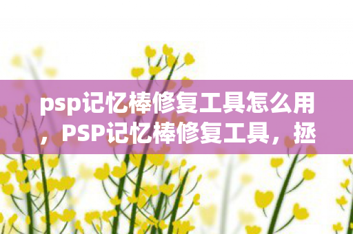拯救你的PSP存储设备的必备利器图片