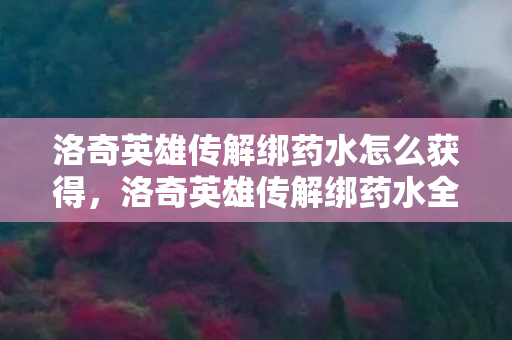 洛奇英雄传解绑药水怎么获得图片