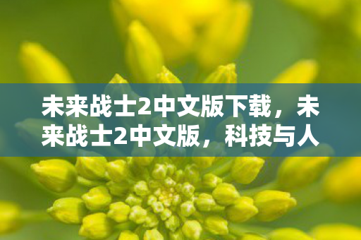 未来战士2中文版下载图片