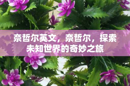 探索未知世界的奇妙之旅图片