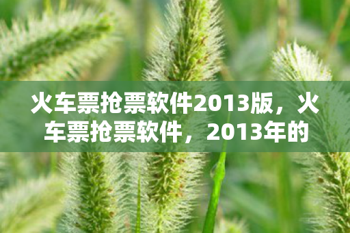 火车票抢票软件2013版图片