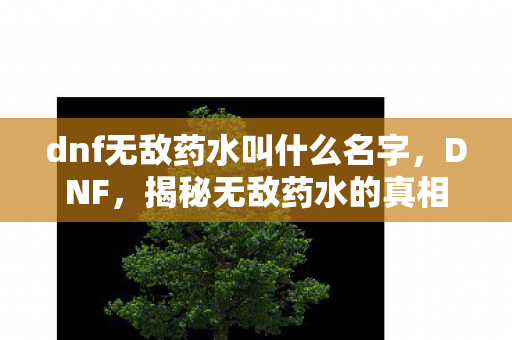 dnf无敌药水叫什么名字图片