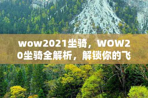 WOW20坐骑全解析图片