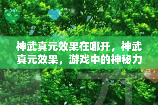 神武真元效果在哪开，神武真元效果，游戏中的神秘力量解析