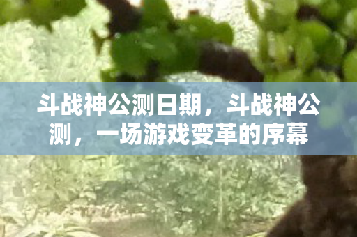 斗战神公测日期，斗战神公测，一场游戏变革的序幕