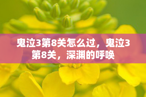 鬼泣3第8关怎么过，鬼泣3第8关，深渊的呼唤