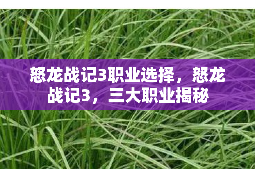 怒龙战记3职业选择,怒龙战记3,三大职业揭秘 怒龙战记3职业选择,怒龙战记3,三大职业揭秘