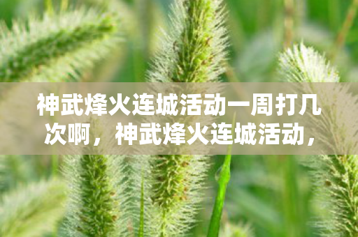 神武烽火连城活动一周打几次啊，神武烽火连城活动，一场热血与荣耀的盛宴