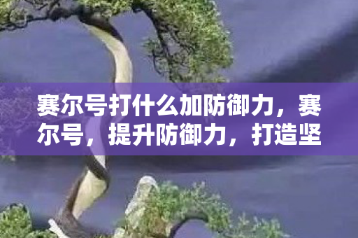 赛尔号打什么加防御力，赛尔号，提升防御力，打造坚不可摧的精灵战队