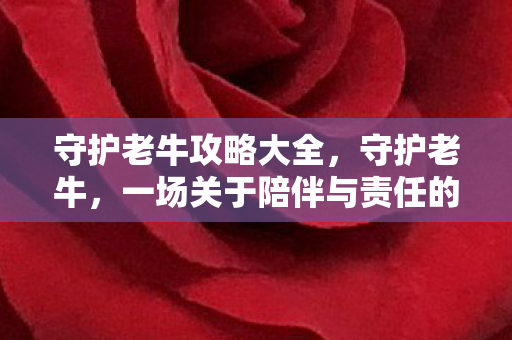 守护老牛攻略大全，守护老牛，一场关于陪伴与责任的温馨之旅