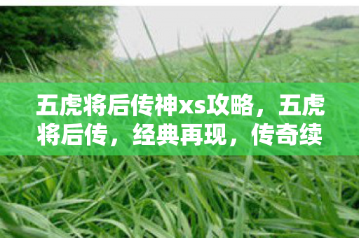 五虎将后传神xs攻略，五虎将后传，经典再现，传奇续写