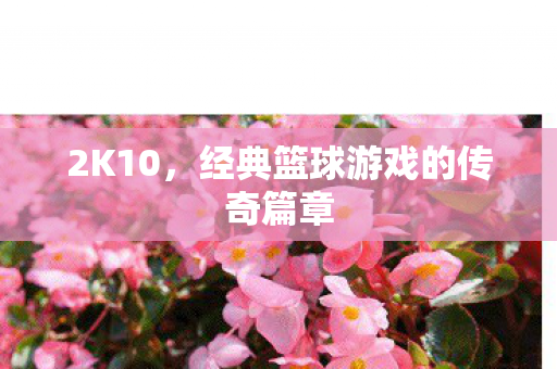 2K10，经典篮球游戏的传奇篇章