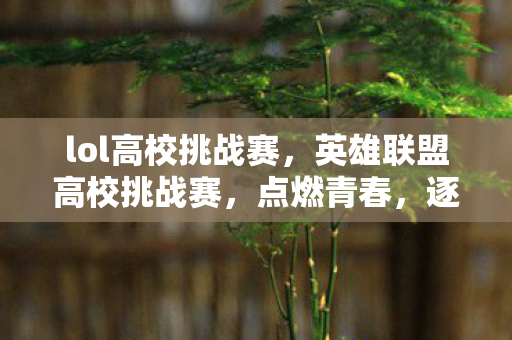 lol高校挑战赛,英雄联盟高校挑战赛,点燃青春,逐梦电竞 lol高校挑战赛,英雄联盟高校挑战赛,点燃青春,逐梦电竞