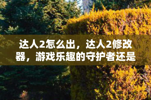 达人2怎么出，达人2修改器，游戏乐趣的守护者还是破坏者？