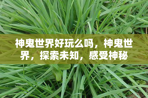 神鬼世界好玩么吗,神鬼世界,探索未知,感受神秘 神鬼世界好玩么吗,神鬼世界,探索未知,感受神秘