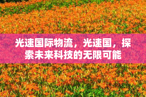 光速国际物流,光速国,探索未来科技的无限可能 光速国际物流,光速国,探索未来科技的无限可能