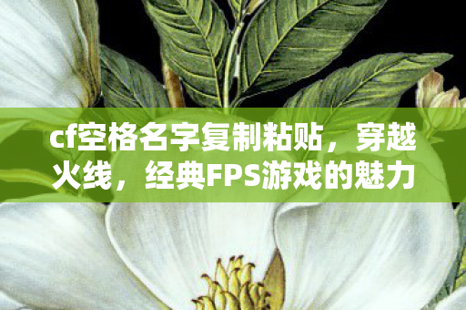 cf空格名字复制粘贴，穿越火线，经典FPS游戏的魅力与回忆