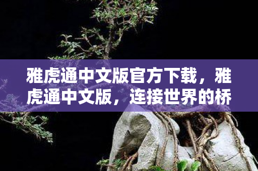 雅虎通中文版官方下载，雅虎通中文版，连接世界的桥梁