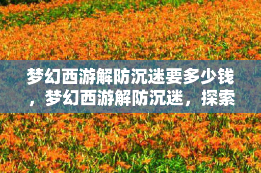 梦幻西游解防沉迷要多少钱，梦幻西游解防沉迷，探索游戏与现实的平衡