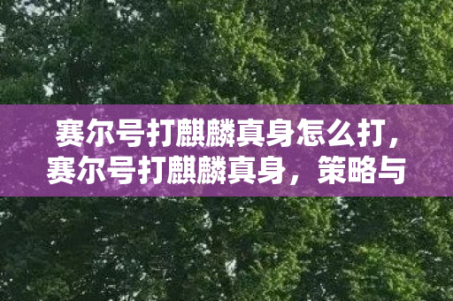 赛尔号打麒麟真身怎么打，赛尔号打麒麟真身，策略与技巧详解
