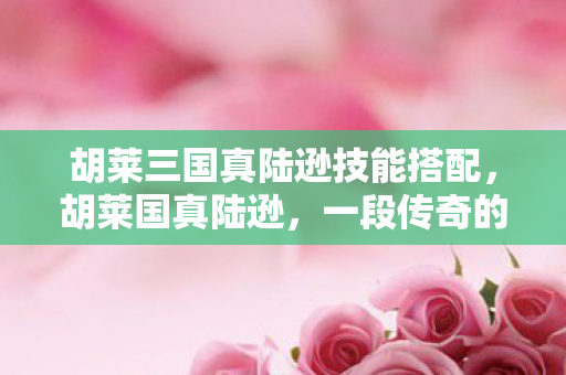 胡莱三国真陆逊技能搭配，胡莱国真陆逊，一段传奇的崛起与陨落