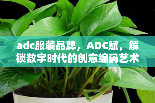 adc服装品牌，ADC赋，解锁数字时代的创意编码艺术