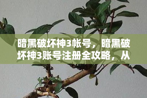 暗黑破坏神3帐号，暗黑破坏神3账号注册全攻略，从零开始打造你的冒险之旅