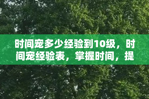 时间宠多少经验到10级，时间宠经验表，掌握时间，提升生活品质