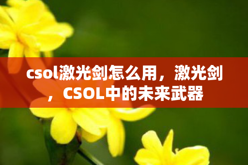 csol激光剑怎么用，激光剑，CSOL中的未来武器