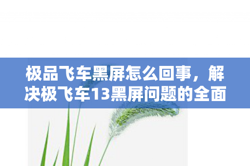 极品飞车黑屏怎么回事,解决极飞车13黑屏问题的全面指南 极品飞车黑屏怎么回事,解决极飞车13黑屏问题的全面指南