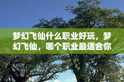 梦幻飞仙什么职业好玩，梦幻飞仙，哪个职业最适合你？