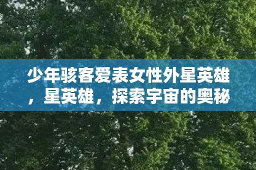 少年骇客爱表女性外星英雄，星英雄，探索宇宙的奥秘，追寻未知的奇迹