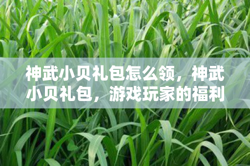 神武小贝礼包怎么领，神武小贝礼包，游戏玩家的福利盛宴