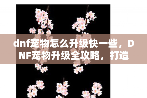 dnf宠物怎么升级快一些,DNF宠物升级全攻略,打造你的最强萌宠 dnf宠物怎么升级快一些,DNF宠物升级全攻略,打造你的最强萌宠