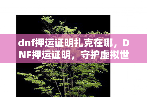 dnf押运证明扎克在哪,DNF押运证明,守护虚拟世界的法律凭证 dnf押运证明扎克在哪,DNF押运证明,守护虚拟世界的法律凭证