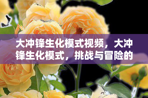 大冲锋生化模式视频，大冲锋生化模式，挑战与冒险的极致体验
