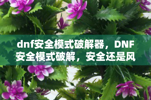 dnf安全模式破解器,DNF安全模式破解,安全还是风险? dnf安全模式破解器,DNF安全模式破解,安全还是风险?
