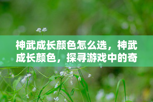 神武成长颜色怎么选，神武成长颜色，探寻游戏中的奇幻色彩与角色成长之路