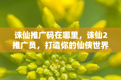 诛仙推广码在哪里，诛仙2推广员，打造你的仙侠世界