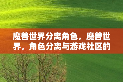 魔兽世界分离角色，魔兽世界，角色分离与游戏社区的多样性