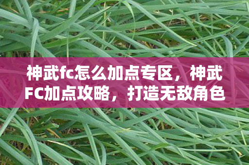 神武fc怎么加点专区，神武FC加点攻略，打造无敌角色，轻松上分！